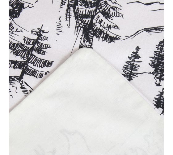 Комплект постельного белья Этель 1.5 сп Winter landscape 143x215 см,150x214 см, 50x70 см 2 шт, поплин 9823936