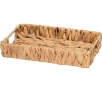 Поднос Natural House Золотистый колос Д240 Ш140 В40, песочный Shan-12