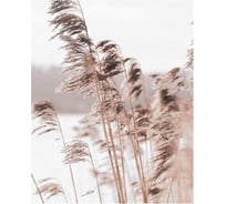 Панно Комус канвас, 40x50, арт.1150 1684251