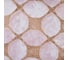 Комплект постельного белья Mona Liza Coral 1.5 спальный 50x70 см 2 шт сатин 5048/0064 6