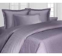 Комплект постельного белья Mona Liza 2-х спальный Лучи лиловые 70x70 см 2 шт 50x70 см 2 шт 5438/26