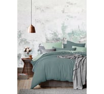 Комплект постельного белья Mona Liza Полынь евро 50x70 см 2 шт сатин 5206/53