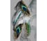 Коврик dekorelle Velvet V251, 50x80 см Vc251_50x80 1