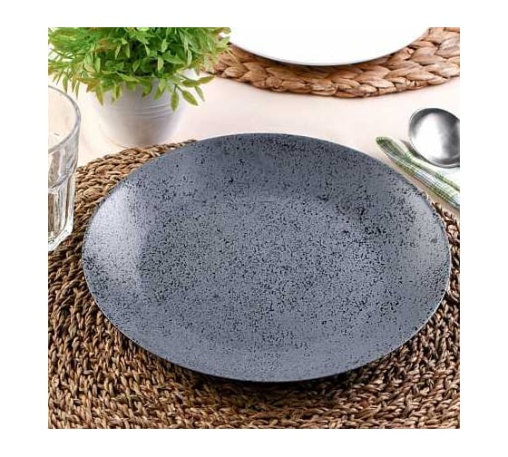 Тарелка обеденная LUMINARC SLATE 25 см V0115