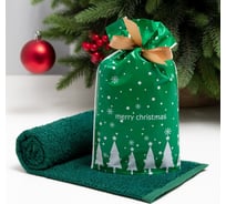Махровое полотенце Экономь и Я Merry Cristmas 30х60 см, зелёный, 100% хлопок, 340 г/м2 9177088