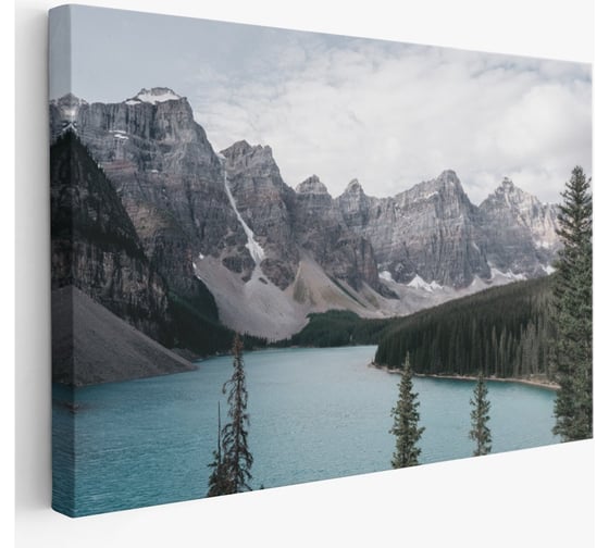 Картина Симфония Зимнее озеро 50x100 см 1-350