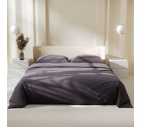 Комплект постельного белья LoveLife дуэт Moonlight night 150х215 см, 2 шт, 225х240 см, 50х70±3 см, 2 шт, микрофибра 85 г/кв.м 9444908