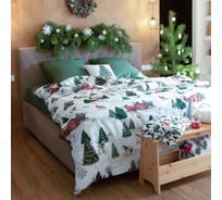 Комплект постельного белья Этель Winter ranch 1.5 сп 143х215 см, 150х214 см, 70х70 см 2 шт, поплин 125 г/кв.м 10385157
