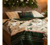 Комплект постельного белья Этель 1.5 сп Magical Christmas 143х215 см, 150х214 см, 70х70 см 2 шт, бязь 7733879