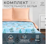 Комплект постельного белья Этель 2 спальный Зимнее волшебство 175х215 см, 200х220 см, 70х70 см 2 шт, бязь 4935588