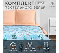 Комплект постельного белья Этель Дуэт Зимнее волшебство 143х215 см 2 шт, 220х240 см, 70х70 см 2 шт, бязь 4935590