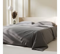 Комплект постельного белья LoveLife евро Gray mist 200х215 см, 225х240 см, 50х70± 3 см, 2 шт, микрофибра 85 г/кв.м 9444905