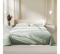 Комплект постельного белья LoveLife дуэт Green tea 150х215 см, 2 шт, 225х240 см, 50х70±3 см, 2 шт, микрофибра 85 г/кв.м 9444920