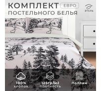 Комплект постельного белья Этель евро Winter landscape 200х217 см, 220х240 см, 50х70 см 2 шт, поплин 9823938