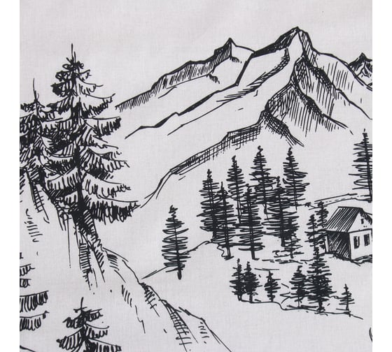 Комплект постельного белья Этель евро Winter landscape 200х217 см, 220х240 см, 50х70 см 2 шт, поплин 9823938