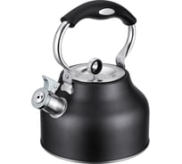 Чайник Regent inox 2,5 л, со свистком, Linea TEA 93-TEA-49
