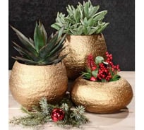 Миска SCHEURICH 397332 Nugget gold керамика, диаметр 22 см, высота 11 см, золото 072221