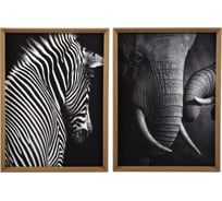 Набор постеров настенных в рамке МДФ "Сафари" Вещицы, 2 шт., черный, Д300 Ш30 В400 Sof-12