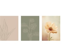 Набор постеров настенных "Нежность" Вещицы, 3 шт., бежевый, Д300 В400 Sof-06