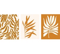 Набор постеров настенных "Листья" Вещицы, 3 шт., белый, бежевый, Д300 В400 Sof-04