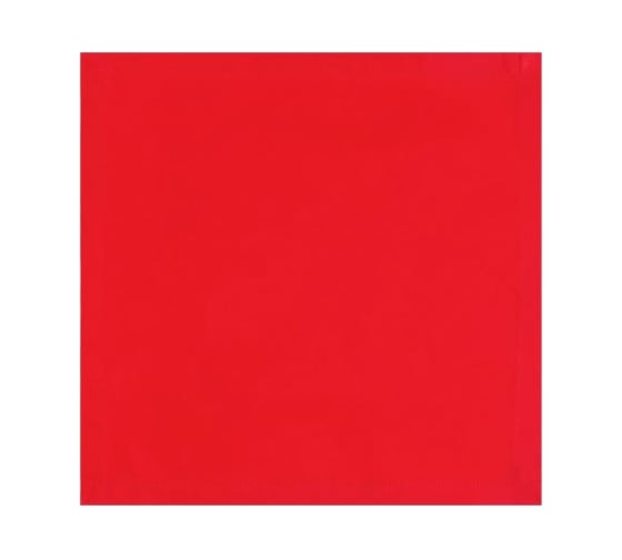 Набор салфеток Этель с декоративными кольцами Red pleasure 40х40 см - 4 шт, 100% хлопок, саржа 190 г/кв.м 7675077 1