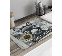 Коврик для сушки посуды JoyArty прямоугольный Фото ослика 58x38 см sbmrec_sd3583_58x38