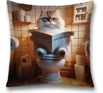 Декоративная наволочка на молнии JoyArty Кот отдыхает 45x45 см sl_sd3478