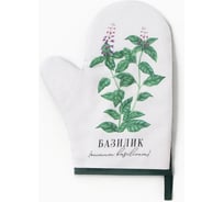 Варежка-прихватка Доляна Базилик 20x27 см, 100% п/э 10425112