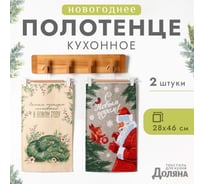 Набор полотенец Доляна Новогодние пожелания 28x46 см, 2 шт, 100% хлопок, вафля 160 г/кв.м 10582416