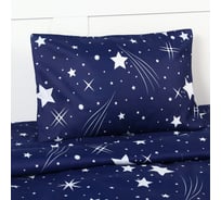 Комплект постельного белья Экономь и Я 2 сп 175х225 см, 175х225 см, 50х70см-2шт, 60г/м2, микрофибра 10518077