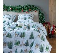 Комплект постельного белья Этель 1.5 сп "Однажды в лесу" 143х215 см, 150х214 см, 70х70 см 2 шт, поплин 9823939