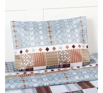 Комплект постельного белья Экономь и Я 2 сп 175х225 см, 175х225 см, 50х70см-2шт, 60г/м2, микрофибра 10518075