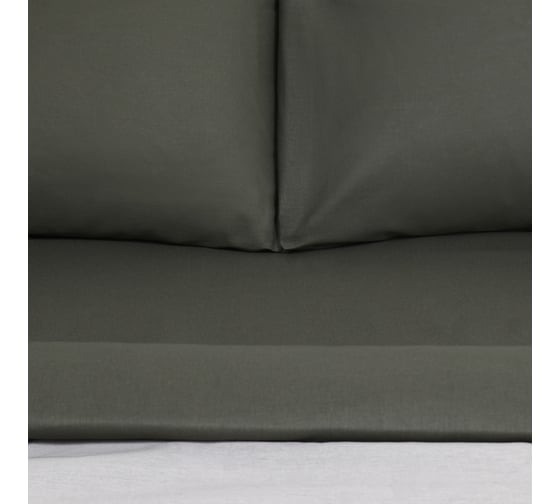Комплект постельного белья Этель 2 сп Snake and roses 175х215 см, 200х220 см, 50х70 см - 2 шт, бязь 10383319