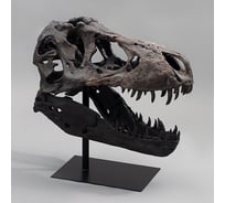 Декор SOFI DE MARKO Рекс 49x29x50см ДЕК1130317