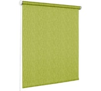 Рулонная штора Эскар Скелетон Оливковый, размер 172x160 см арт. 72611172160