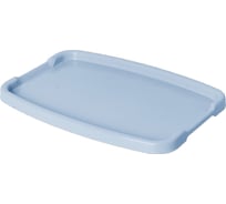 Поднос Тара.ру 360x250x20 мм, светло-голубой 23485