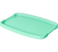 Поднос Тара.ру 360x250x20, светло-зелёный 23484