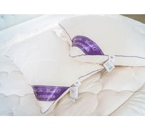 Подушка SOFI DE MARKO Lavender 70x70 см L-П-70х70