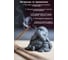 Благовония HEM FENG SHUI 5-IN-1 Фен-шуй 5 в 1 Аромат для зоны богатства 20 палочек 61-F51 2