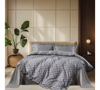 Комплект постельного белья The eleventh kingdom макосатин Евро с нав.50х70 (2) Silvia 11KDCS2022SIL