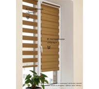 Рольштора ООО АС Март Баланс (007.11) Кофейный 110х160 4816023512019