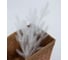 Ветка (лапка) Crystal Trees белая, 17*10 см, 10 шт. KP-VL-10 1