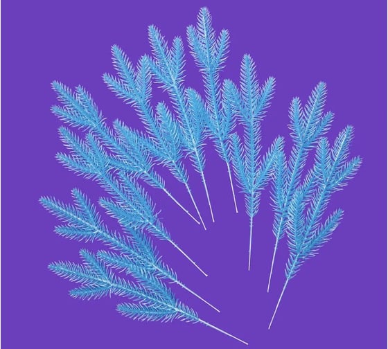 Ветка (лапка) Crystal Trees светло-голубая, 17*10 см, 10 шт. KP-VL-40