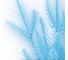 Ветка (лапка) Crystal Trees светло-голубая, 17*10 см, 10 шт. KP-VL-40 3