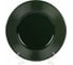 Обеденная тарелка FIORETTA EMERALD GREEN 27 см TDP470 2