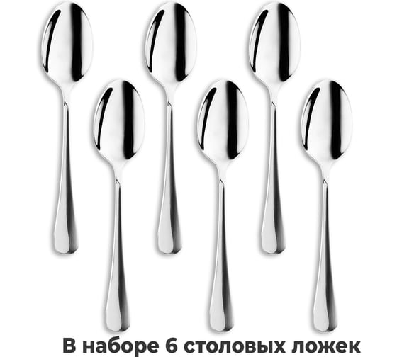 Ложки столовые DASWERK 20 см, STANDARD, 6 шт., полированная нержавеющая сталь, серебристые 609077