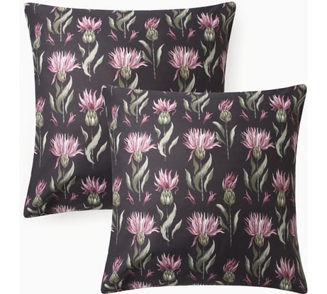 Комплект наволочек Этель Артишок 70x70 см, 2 шт, 100% хлопок, поплин 10682943