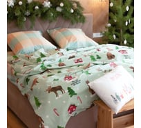 Комплект постельного белья Этель 1.5 спальный, Волшебное время 143*215 см, 150*214 см, 70*70 см 2 шт, бязь 4935579