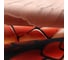 Полотенце Этель Вloom 40x73 см, 100% хлопок, саржа 190 г/м2 10646685 7