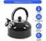 Чайник HOME ELEMENT HE-WK1602 черный жемчуг со свистком 36126 6